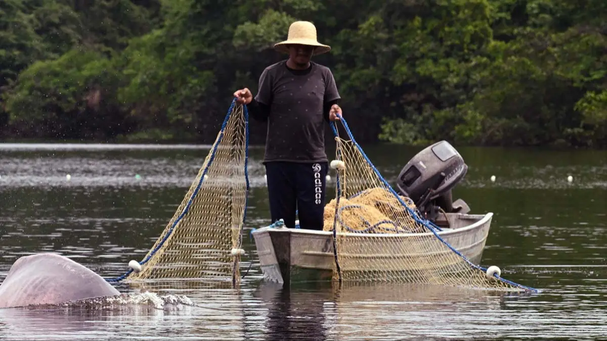 MIGUEL MONTEIRO/AFP via Getty Images