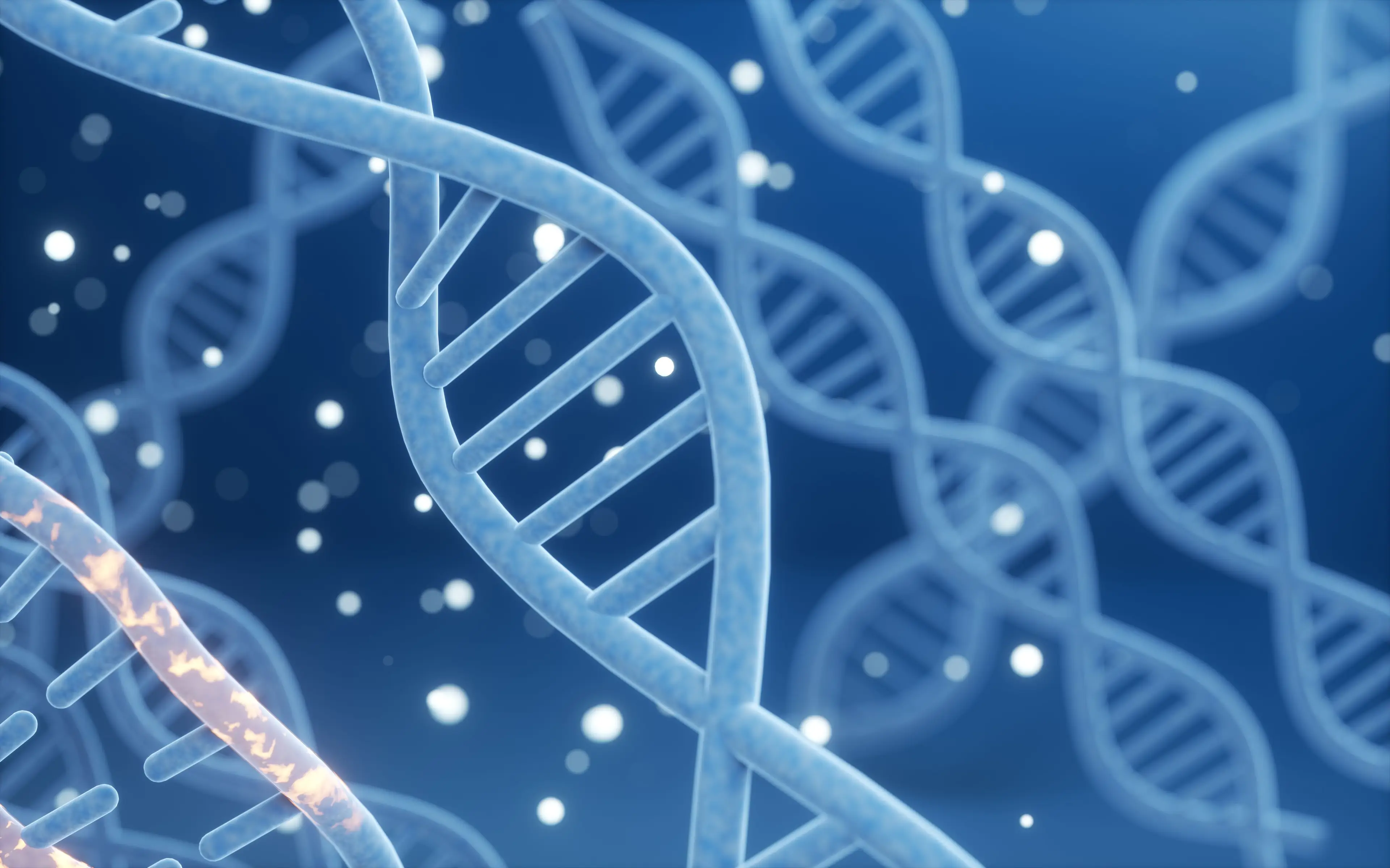 The results from the test were fascinating (Getty Stock Image)