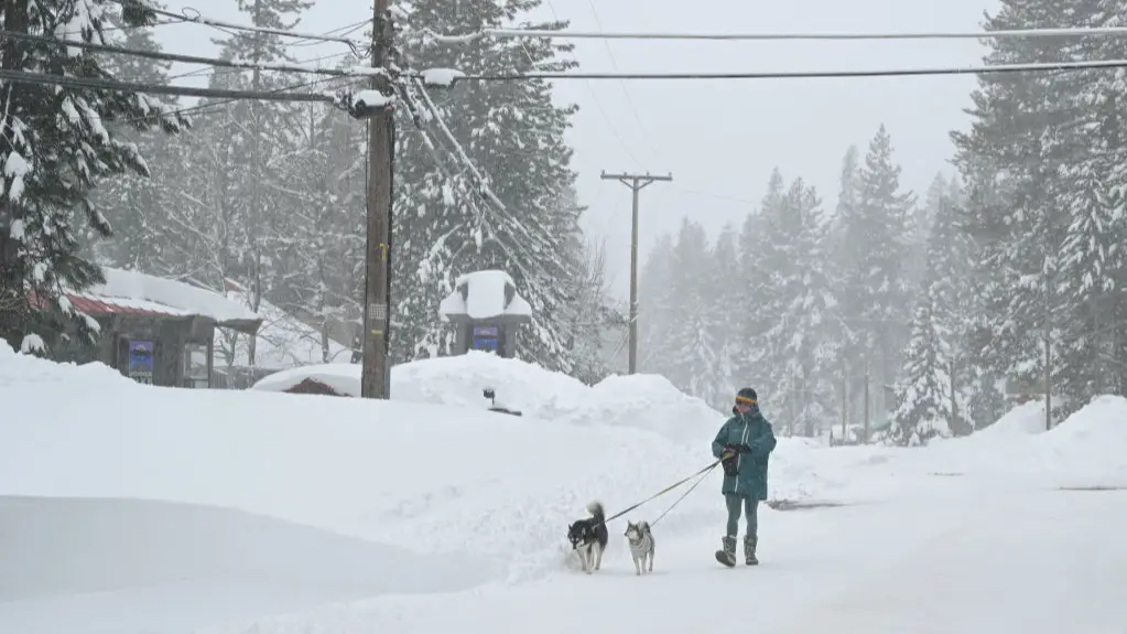 Getty Images/Anadolu
