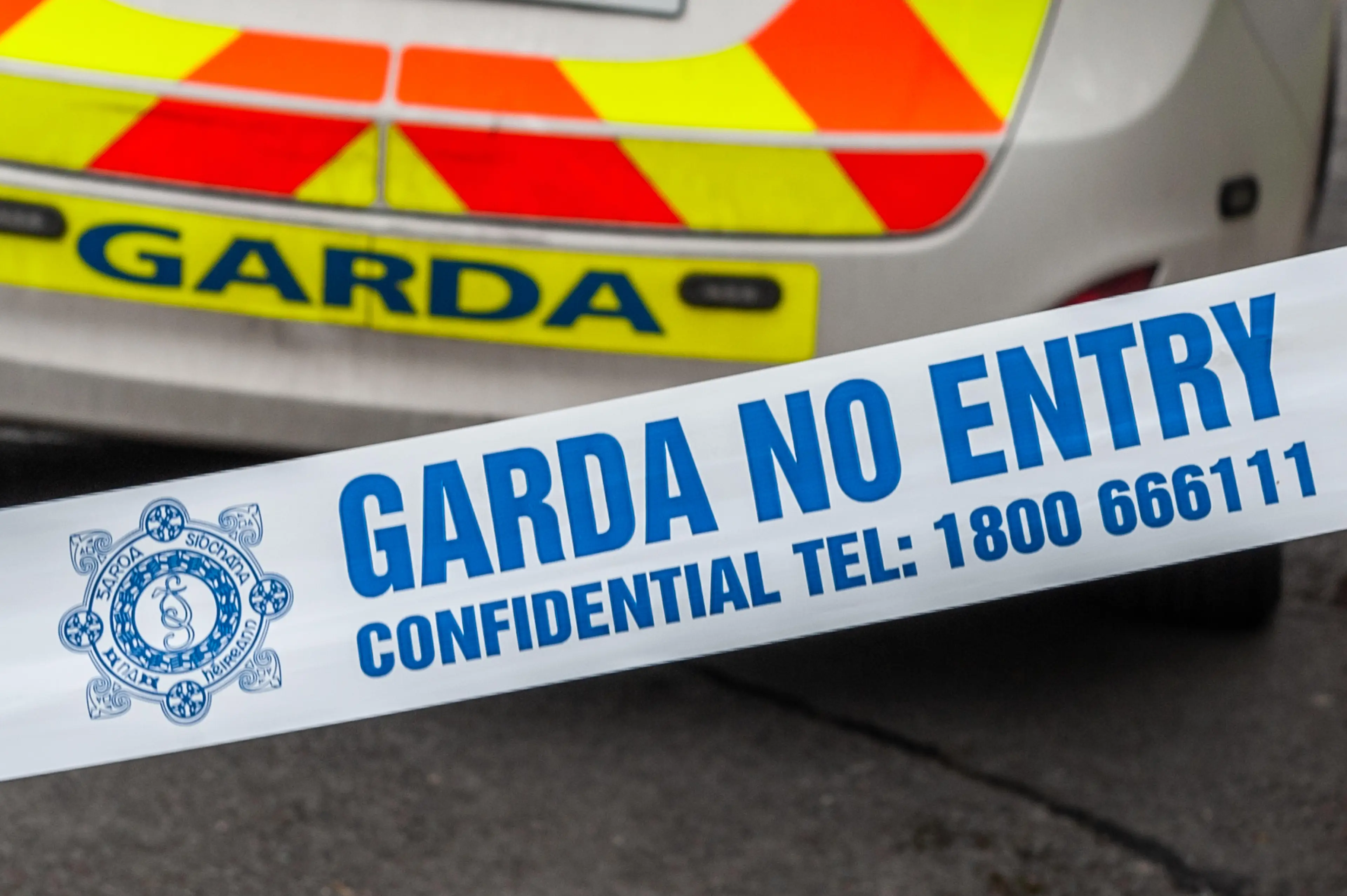 Gardai (Alamy)