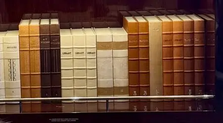 The books did not look legit (X/@karolineleavitt)
