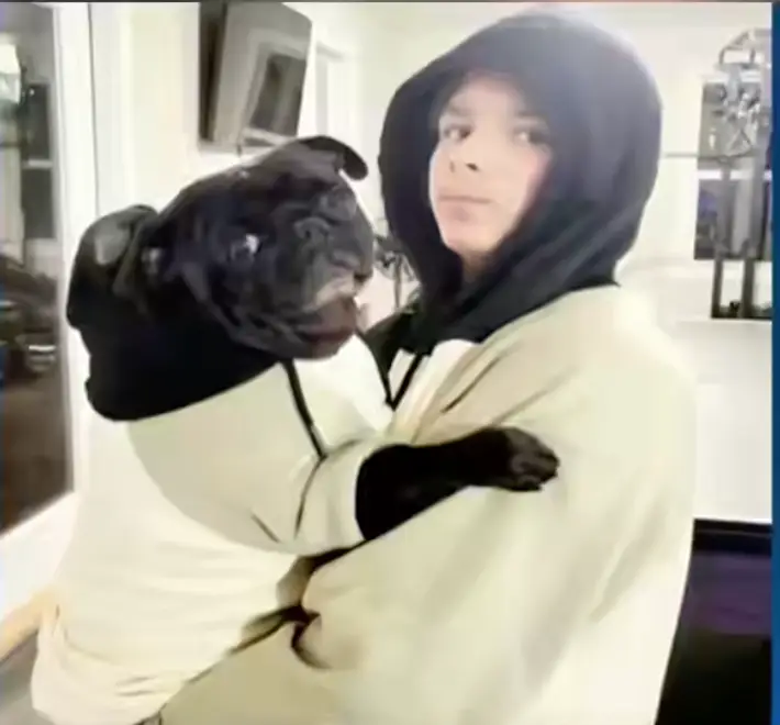 Rebecca Belote's family paid for their four-year-old pug, Cha Cha, to be euthanized after he was diagnosed with a serious illness (WHIO)