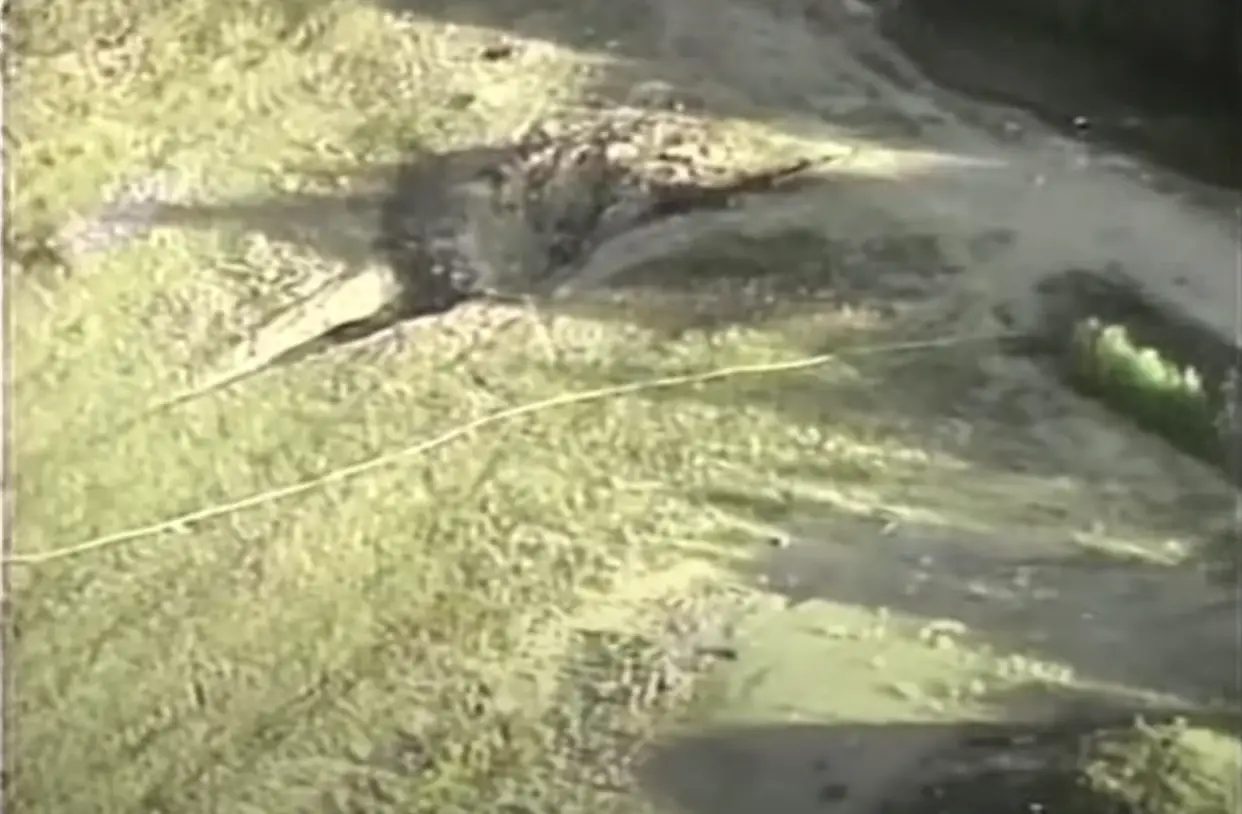 United Airlines Flight 93 crashed into a field in Somerset County, Pennsylvania.