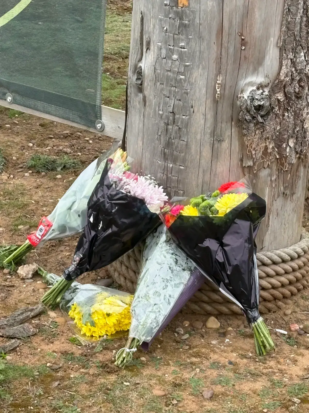 Flowers have been left outside Yorkshire Wildlife Park following the incident (Dave Higgens/PA Wire)