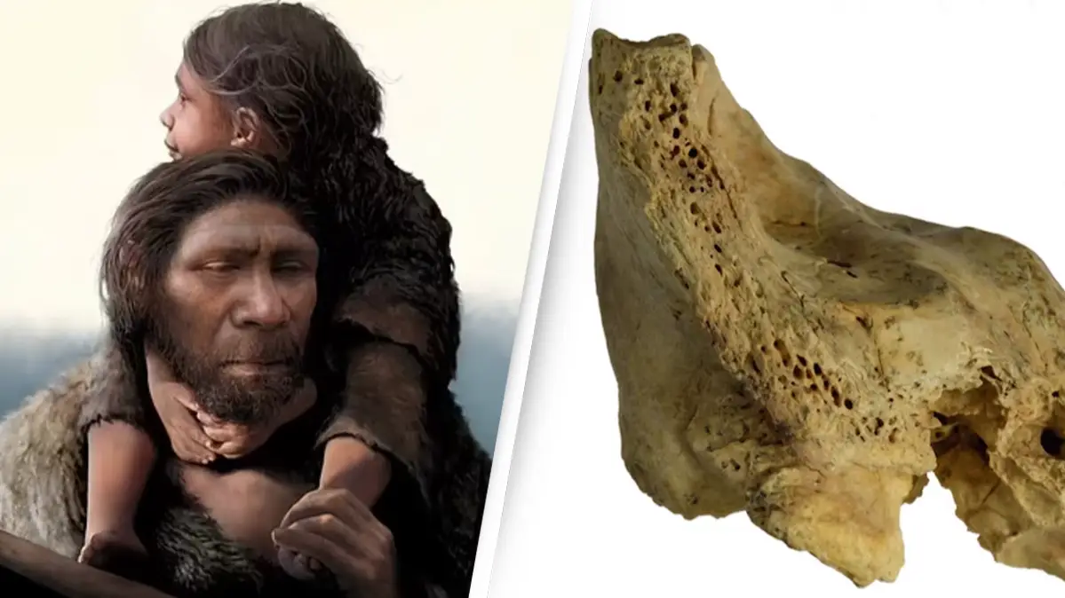 Scientists discover first case of Down syndrome in six-year-old child who lived more than 145,000 years ago