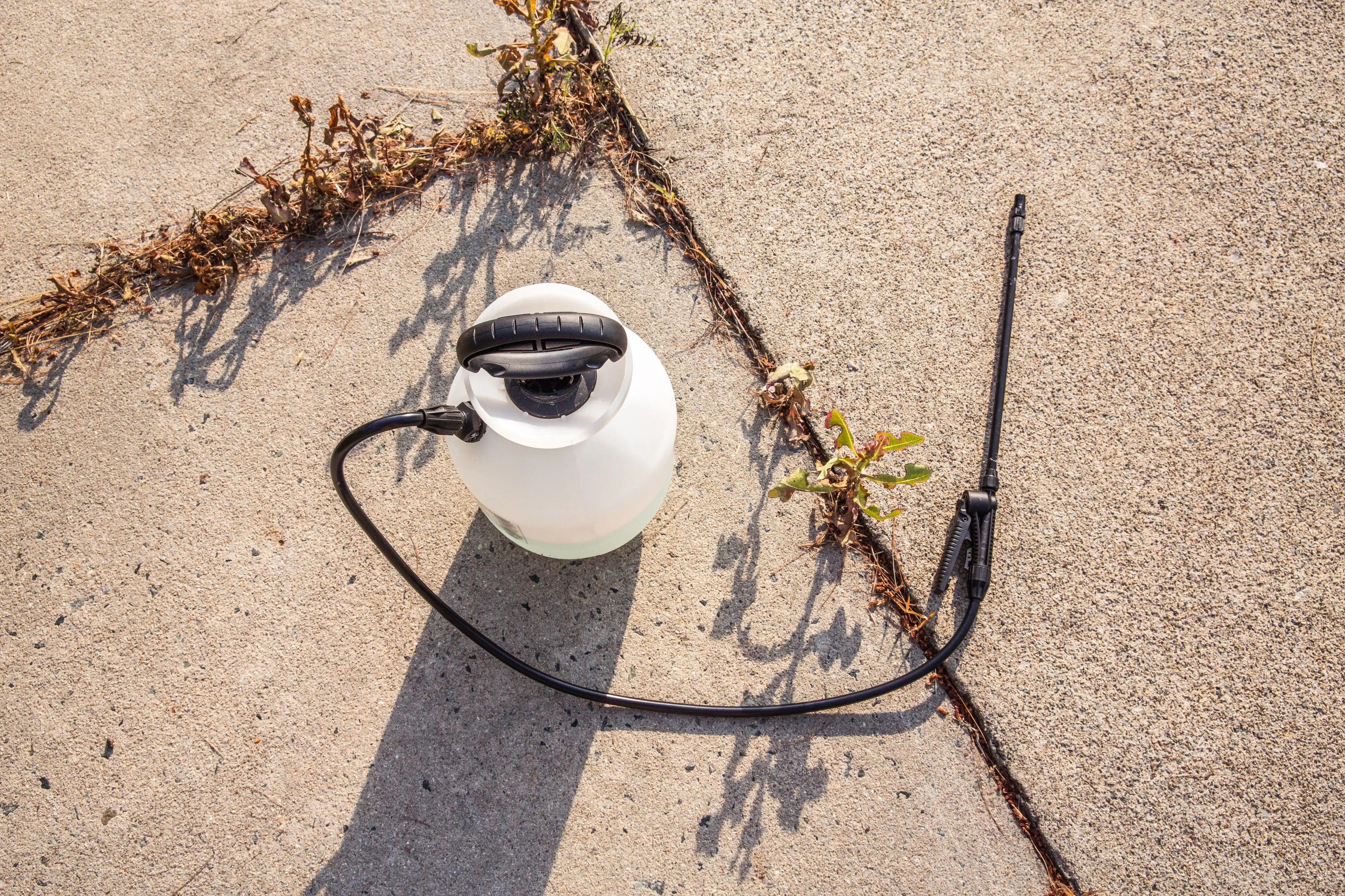 There are health concerns over the product (Jena Ardell/Getty)