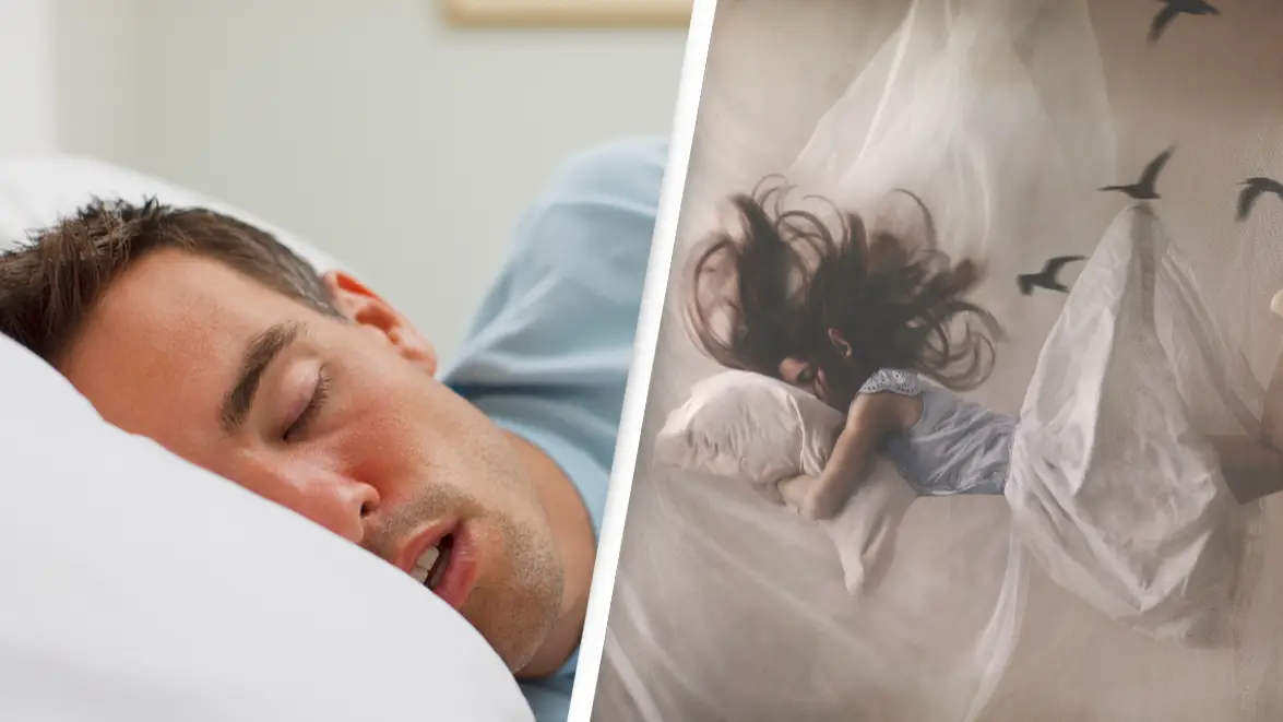 The most common dreams revealed after analysis conducted