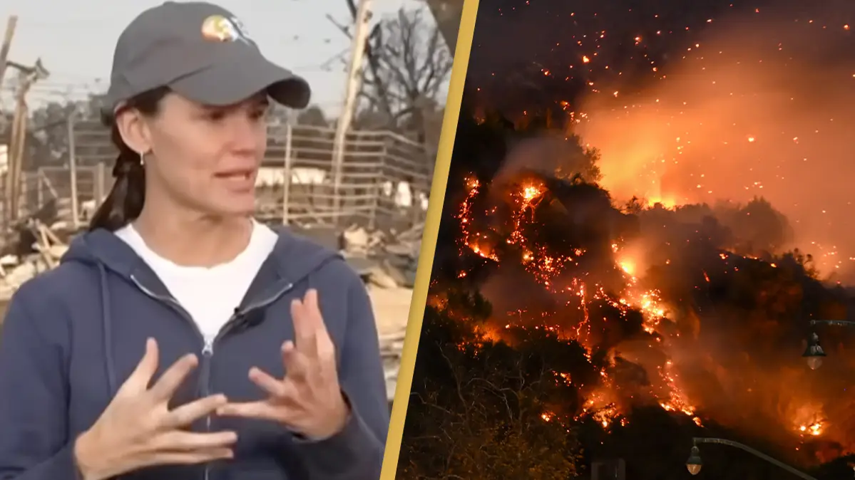 MSNBC/YouTube/Anadolu/Getty