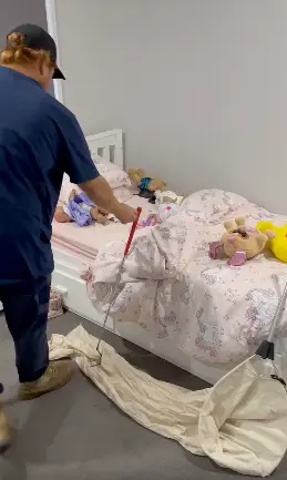 Can you see the deadly snake? (Facebook/Snake Catchers Brisbane & Gold Coast)