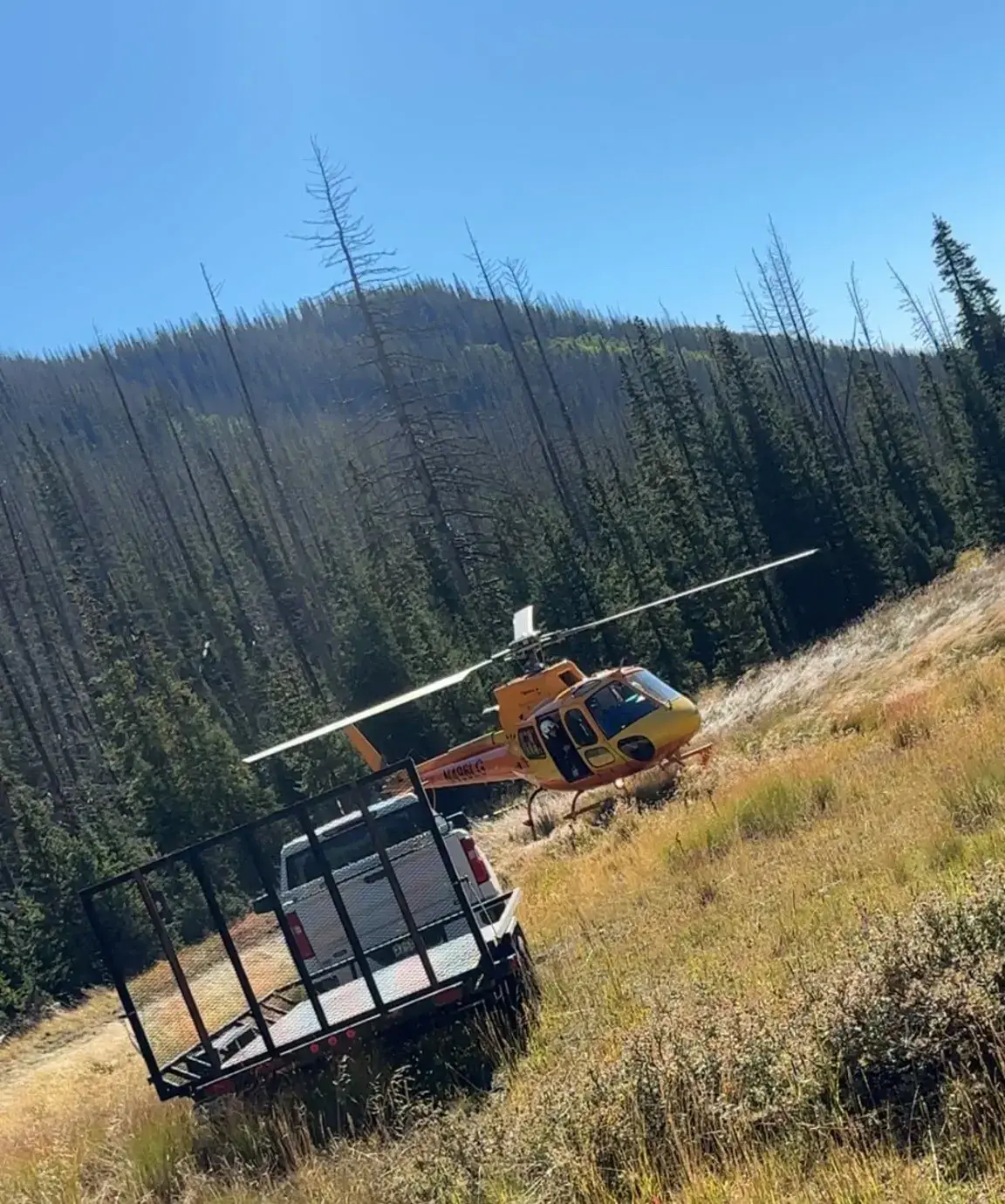 A search operation was launched (GoFundMe)