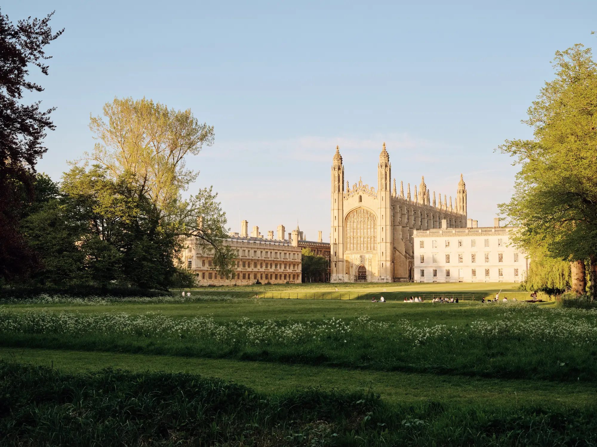 Arday had been a professor at the University of Cambridge (Getty Stock)