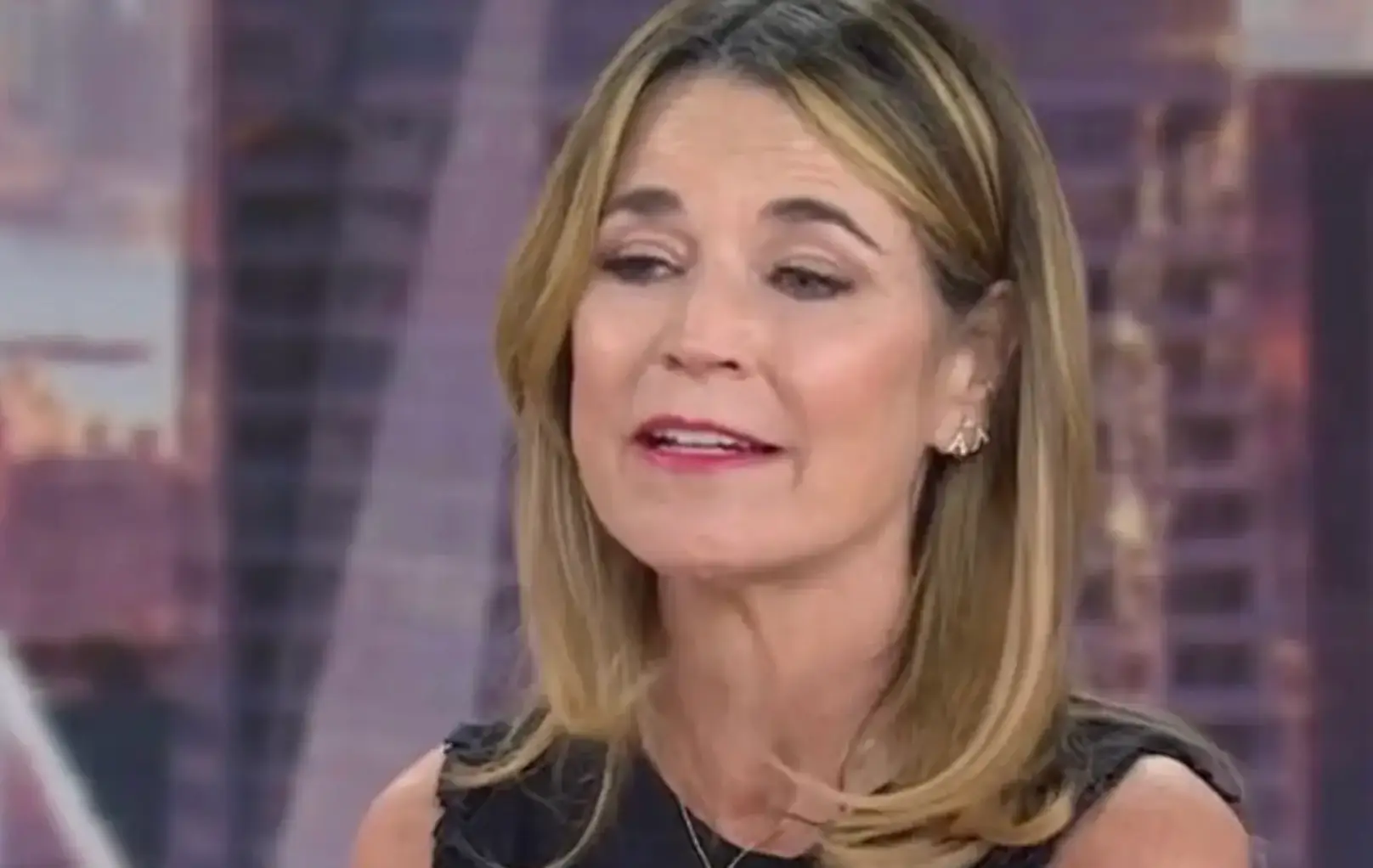 Nancy's daughter, Savannah Guthrie (NBC)