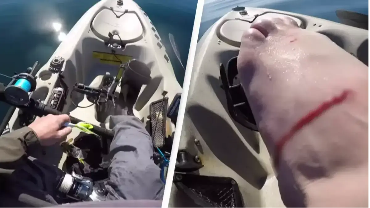 Mantis shrimp punches hole in fisherman's foot after being caught