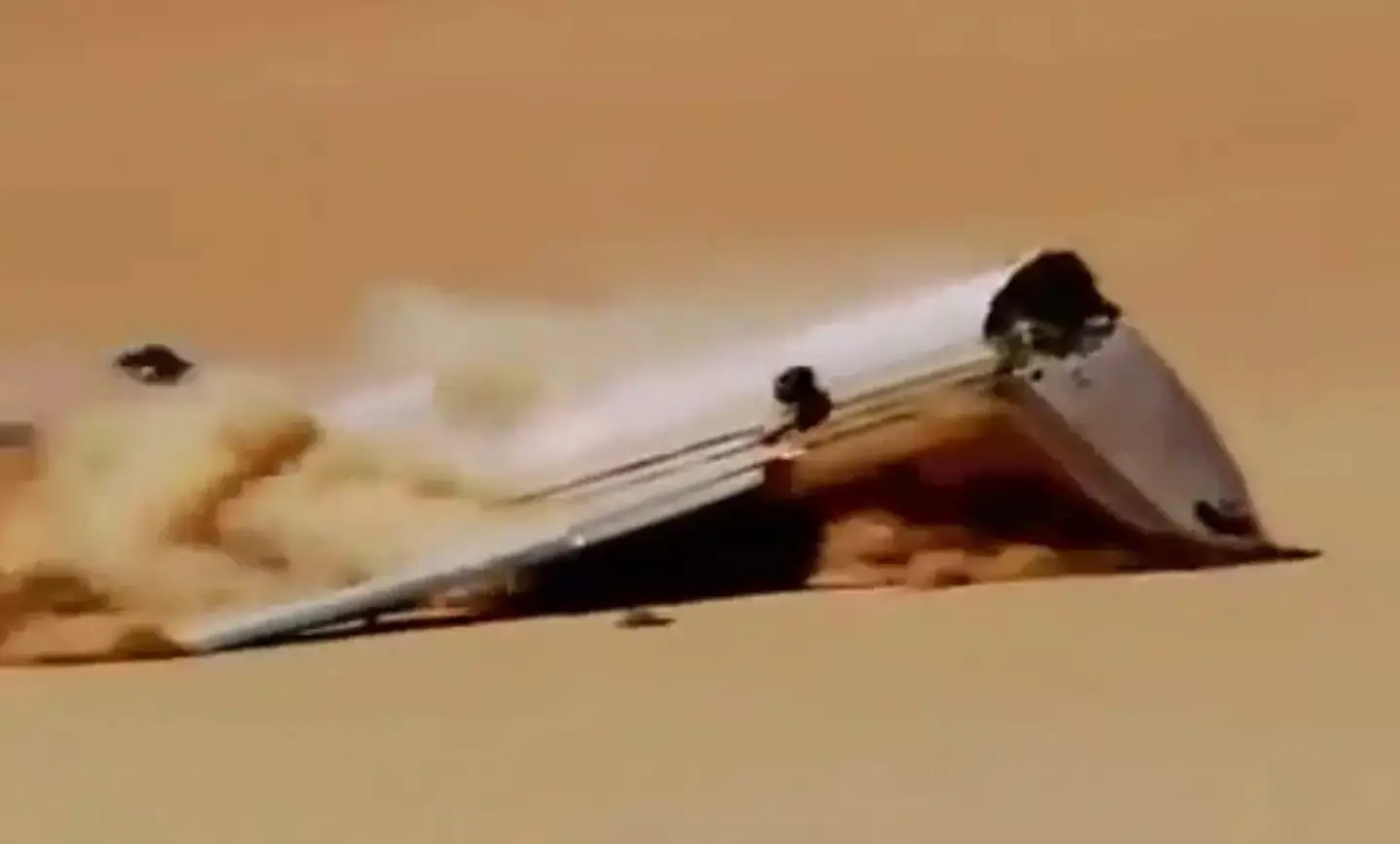 The crash provided scientists with some interesting findings (More4)