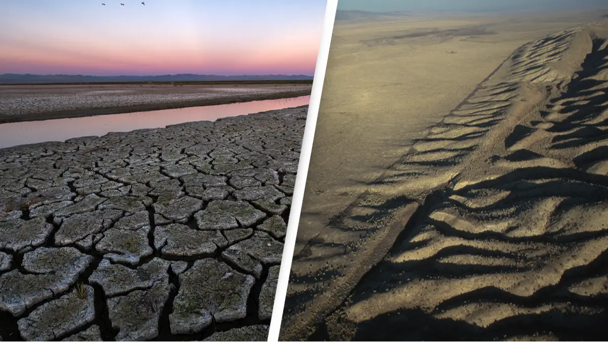 David McNew/Getty Images for Lumix / Roger Ressmeyer/CORBIS/VCG via Getty Images