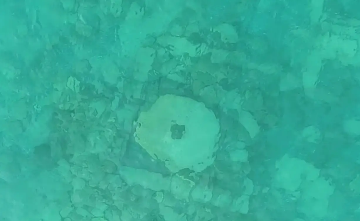 The team found evidence of a 'lost city' (Russian Academy of Sciences)