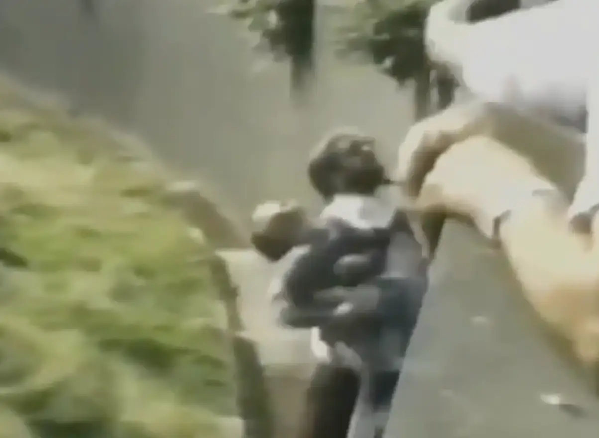 Levan was eventually rescued from the enclosure (Matthew Cipolla/YouTube/ITV)