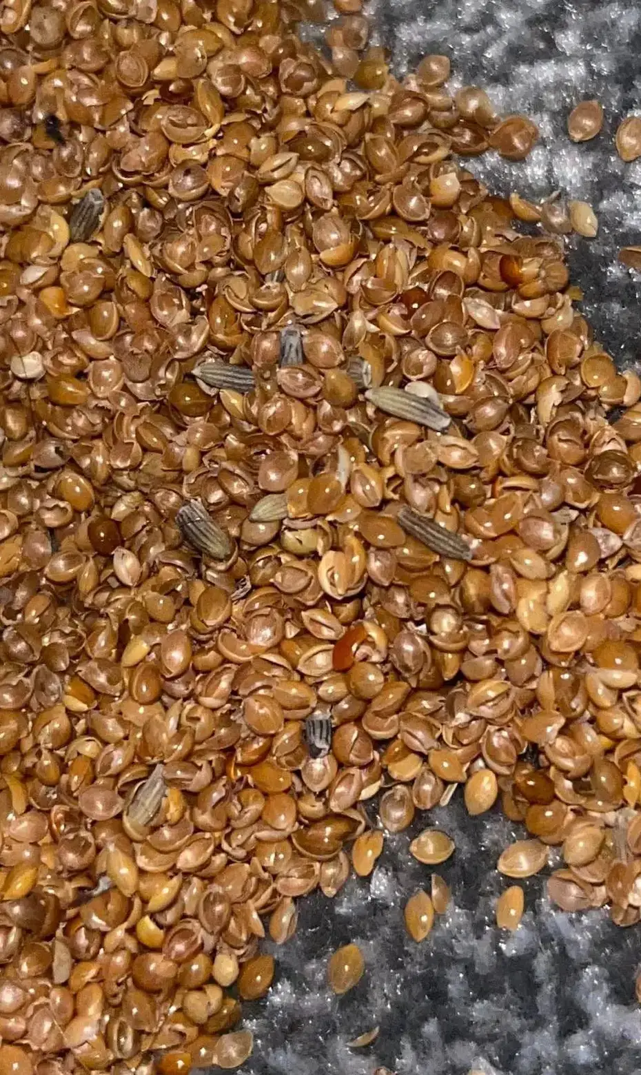 Thankfully the mother explained the nature of what she had found in an update (Facebook/Family Lowdown Tips & Ideas) 