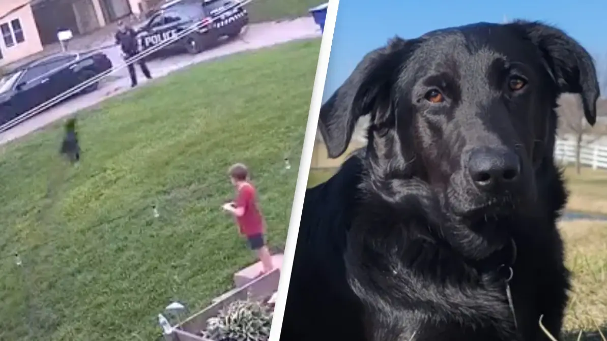 KWQC News/Don Hesseltine