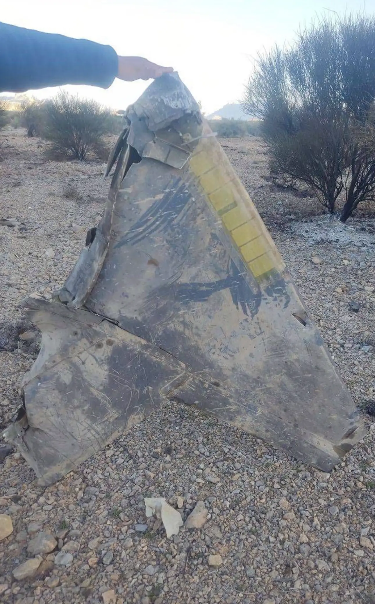 Iranian forces reportedly downed the plane (X/@PressTV)