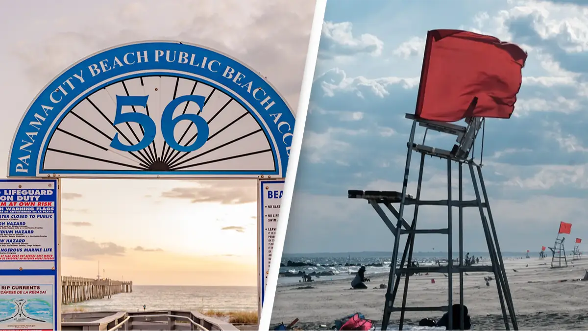 Jacqueline Anders/Spencer Platt/Getty Images