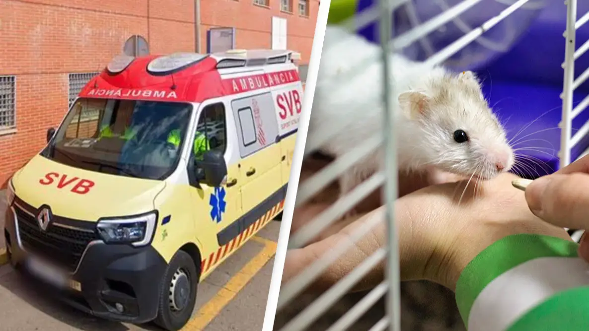 Solarpix/Getty/Sol de Zuasnabar Brebbia