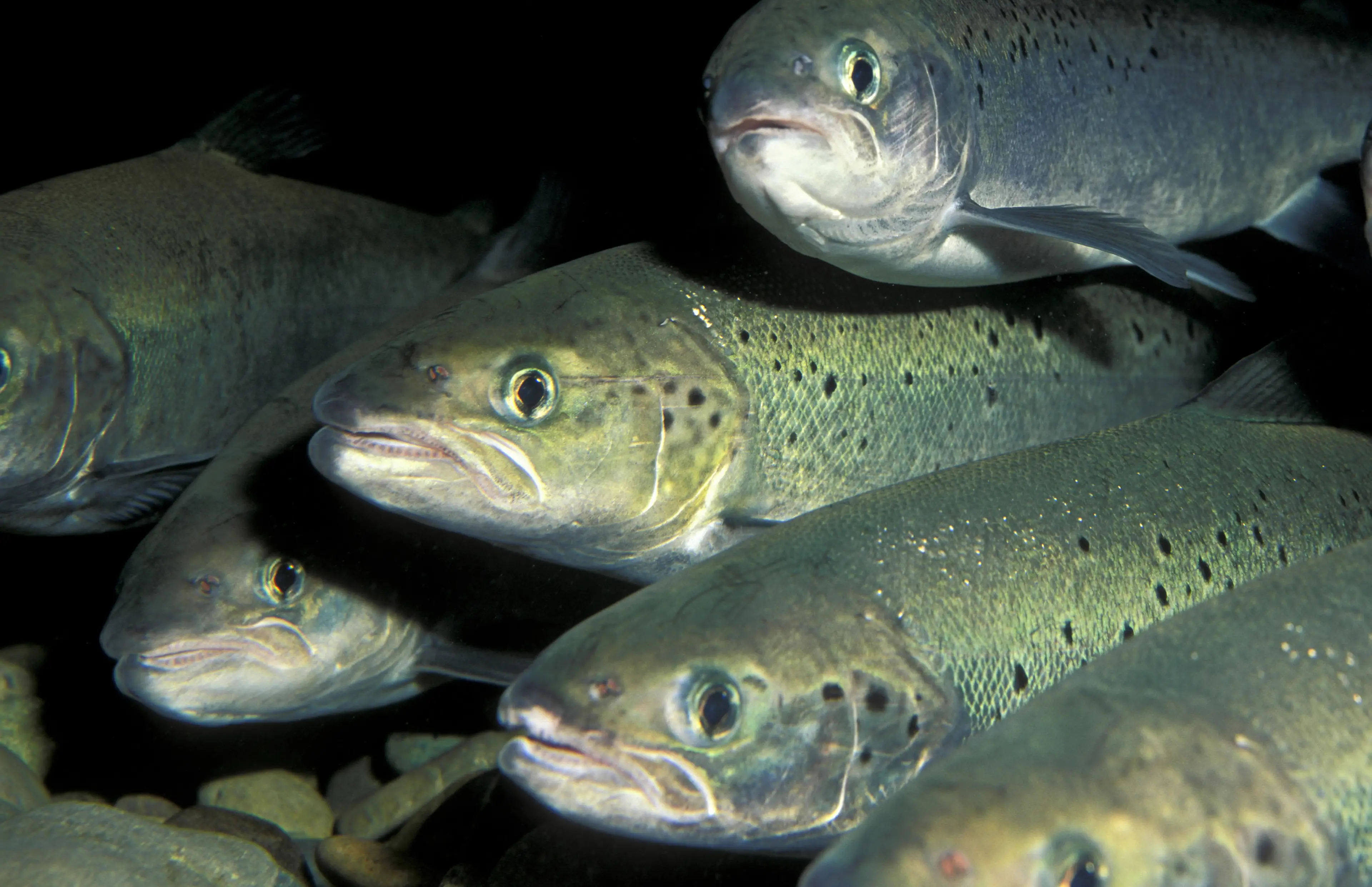 There's a lot of 'waste' involved in the industry right now (Getty Stock Images/ Schafer and Hill)