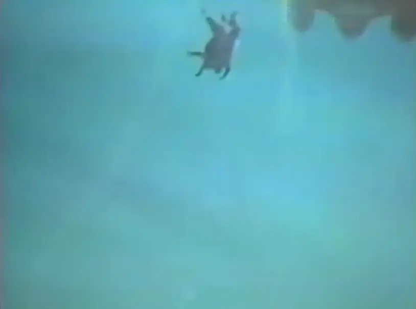 It was only a few moment later that he would realize he had forgotten the parachute.