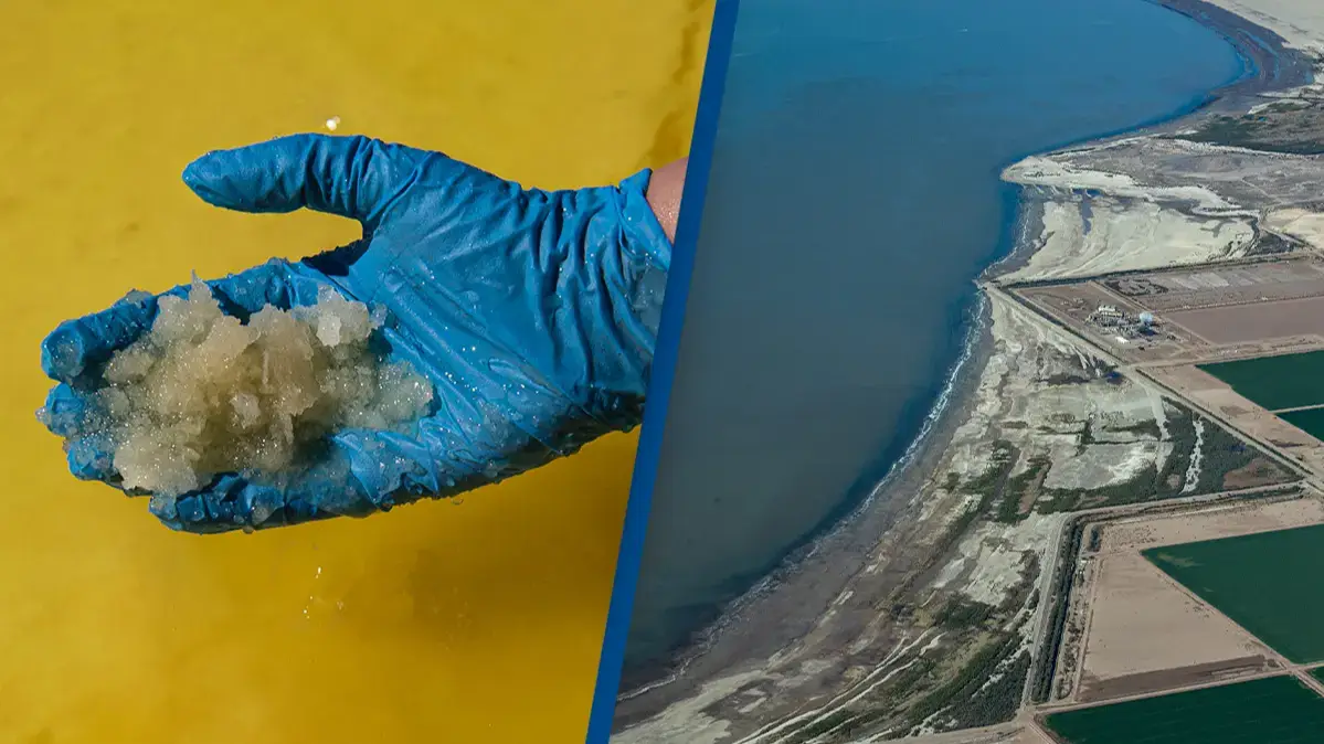 MARTIN BERNETTI/Getty/Brian van der Brug/Getty