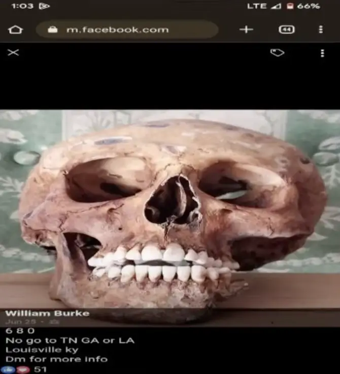 They found dozens of human remains, including 40 human skulls, spinal cords, femurs and hip bones.