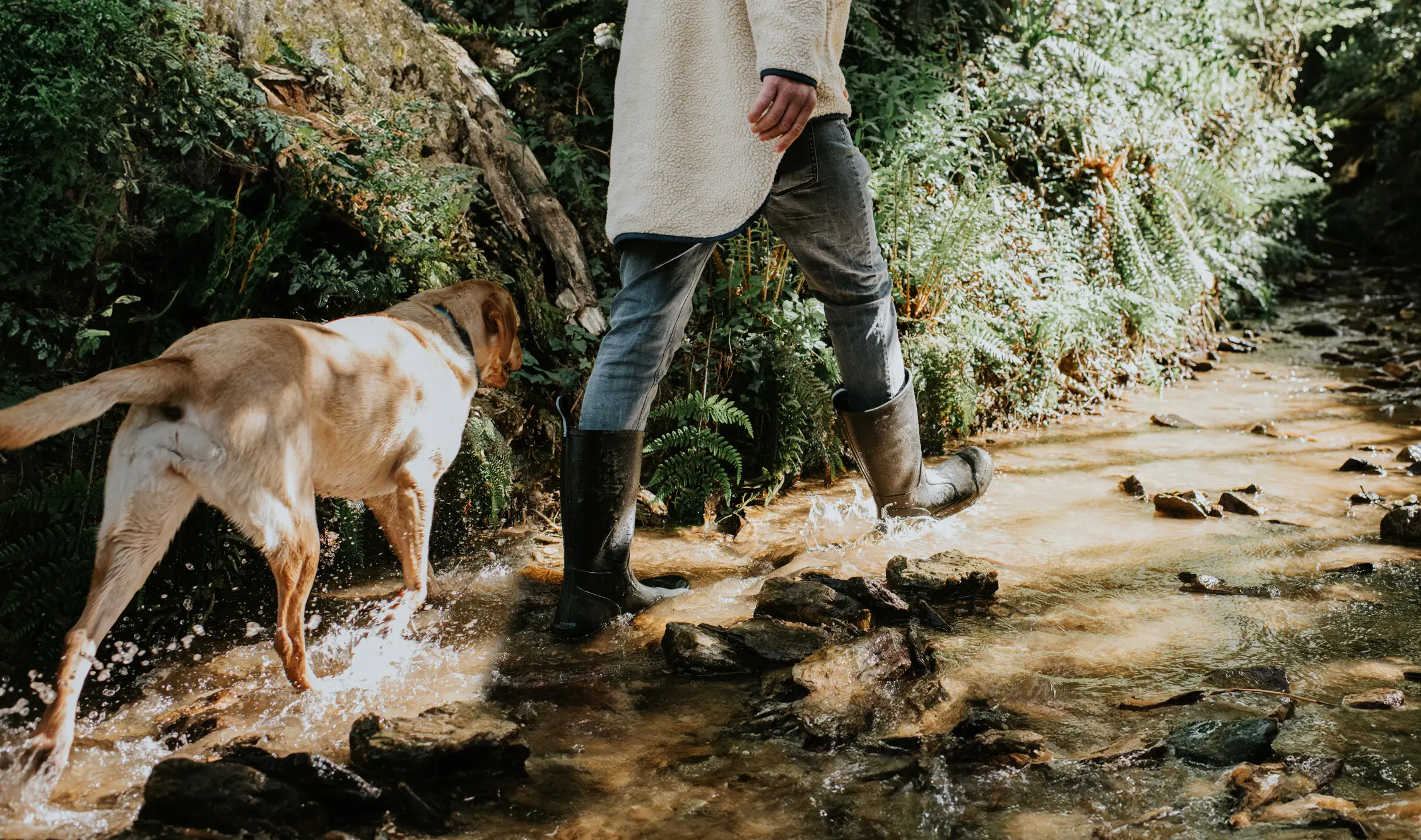 The key is not to punish them (Getty stock image)