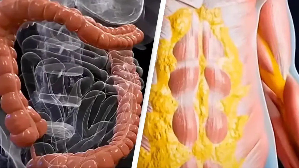 YouTube/Wellness Wise