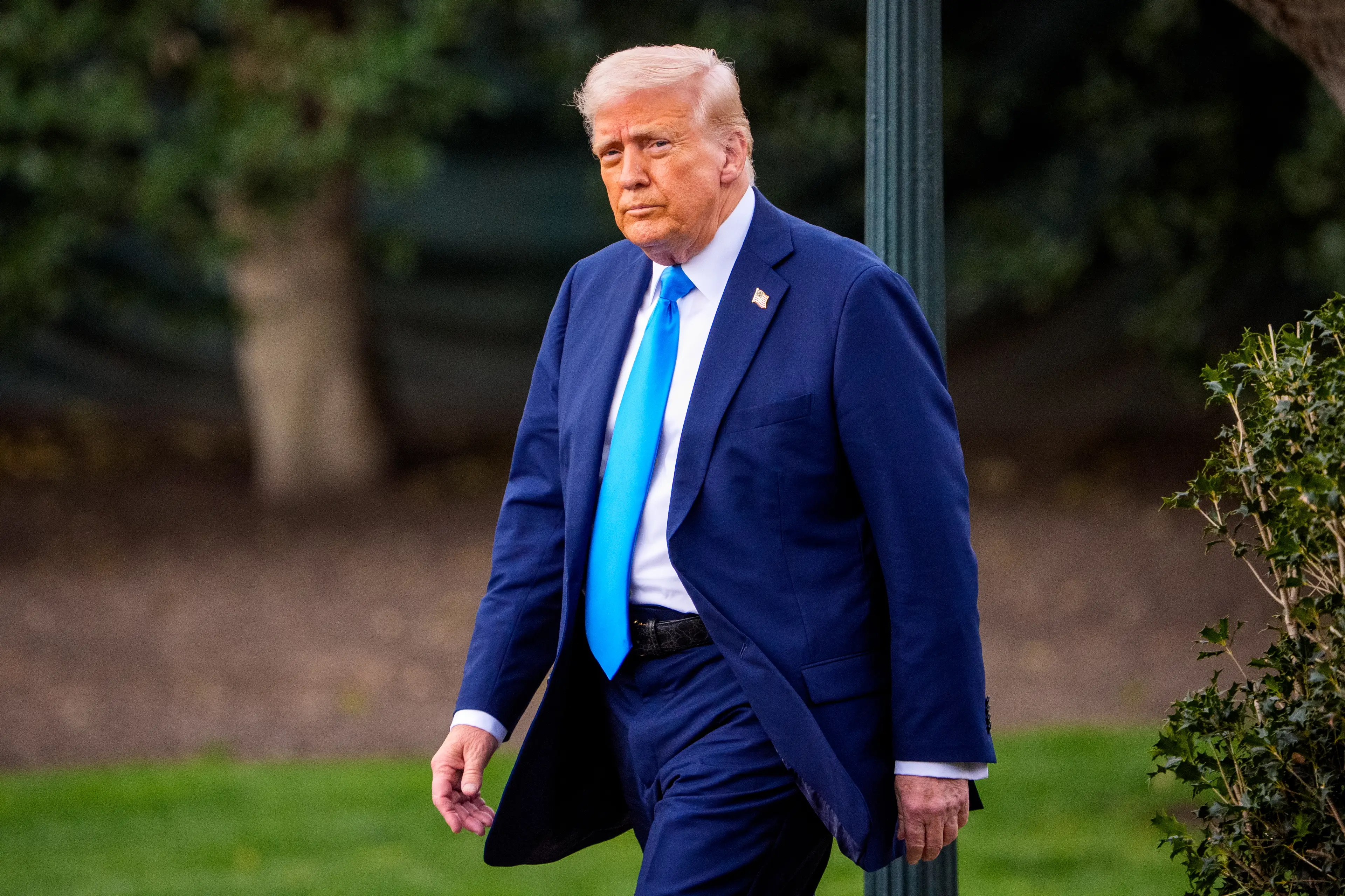 Donald Trump has ordered for almost all federal employees to return to in-person work (Andrew Harnik/Getty Images)