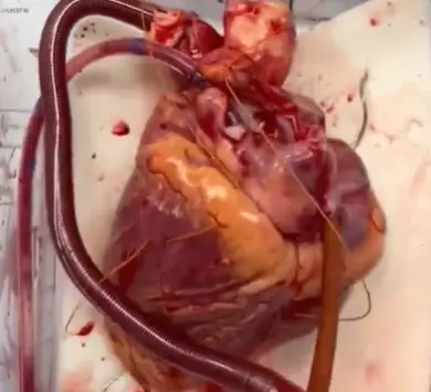 The video left people feeling thankful (X/@helioswya)