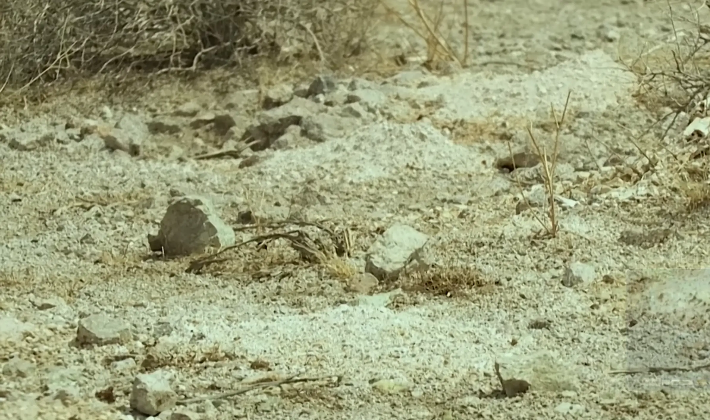 The cremated remains were in seemingly neat piles despite weeks of being hit by the elements (8 News Now — Las Vegas)