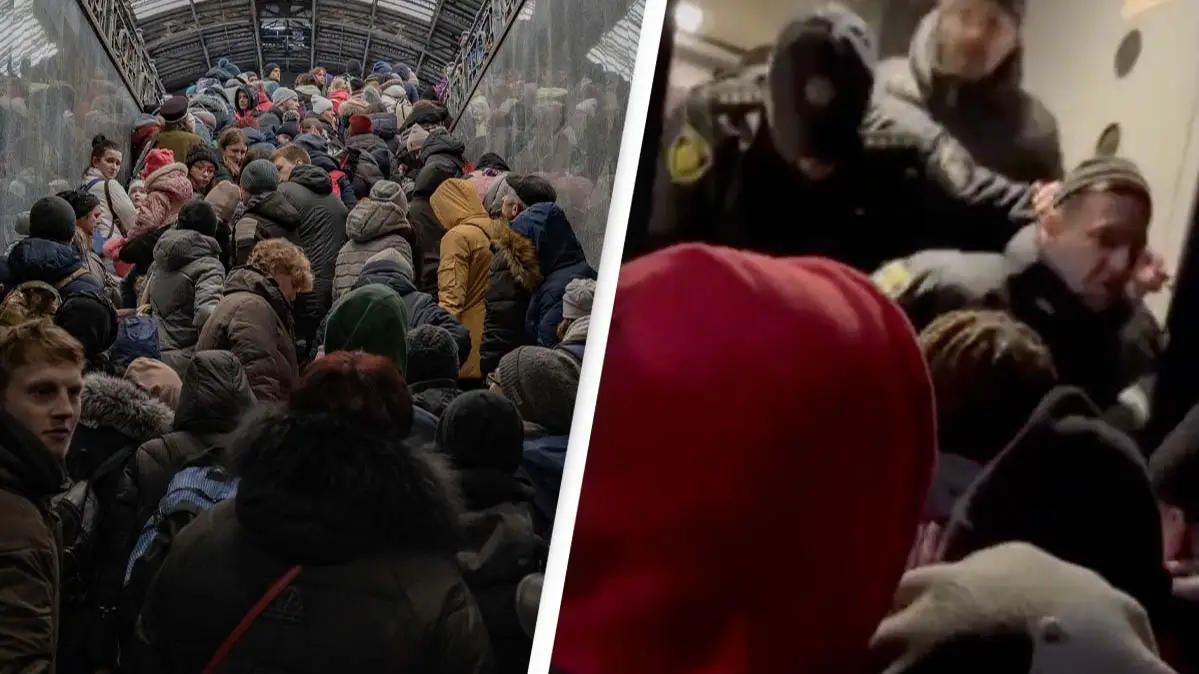 Alamy/@LHreports/Twitter