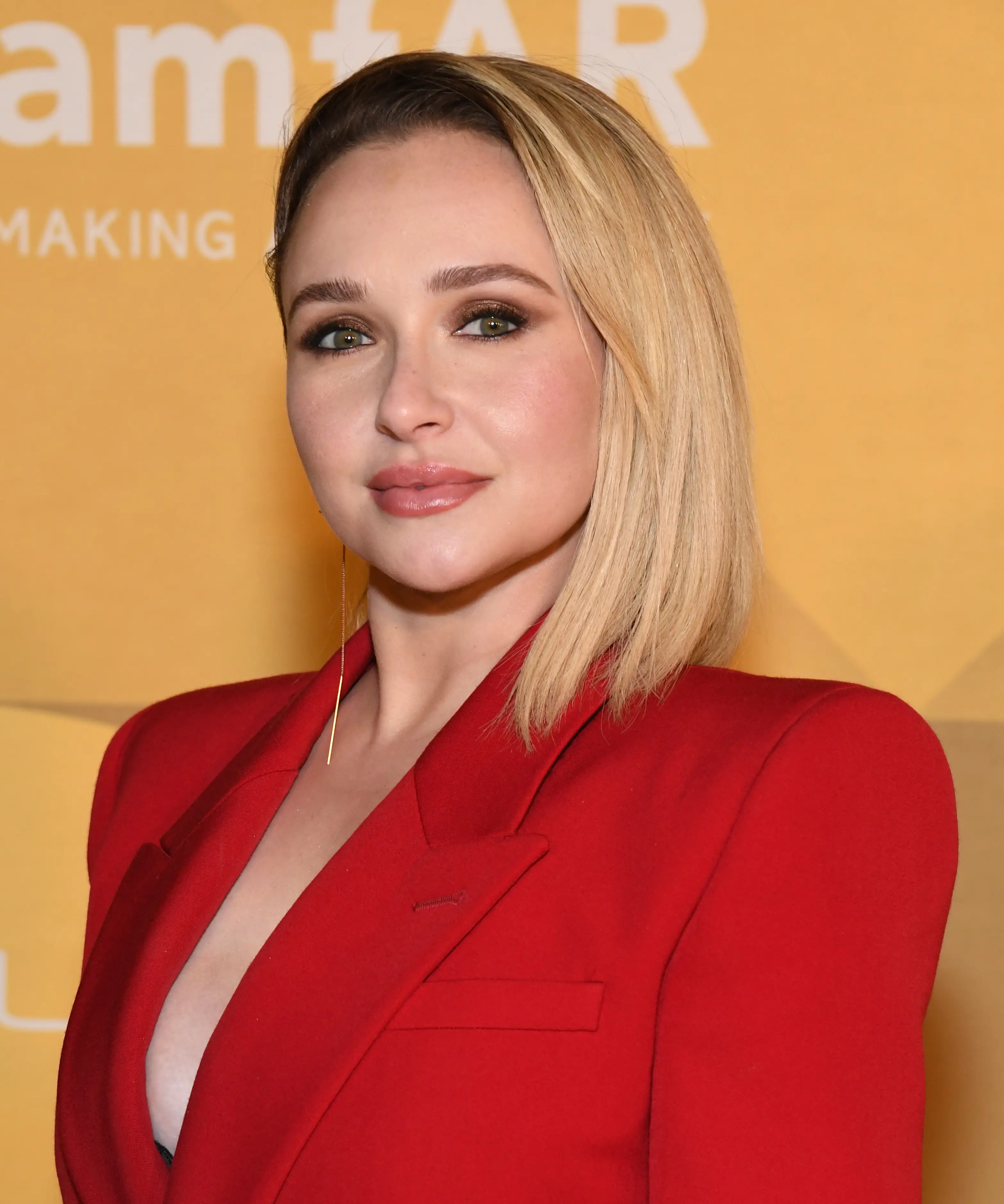 Panettiere's death has been ruled as an accident (Jon Kopaloff/Getty Images)