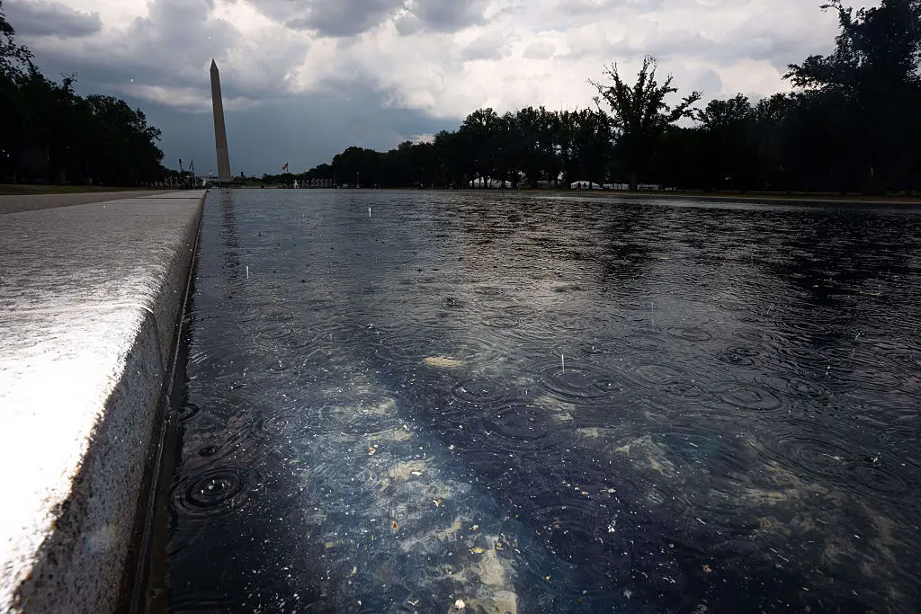 Trump says he's looking for 'vandal proof' material ( Aaron Schwartz/Bloomberg via Getty Images)