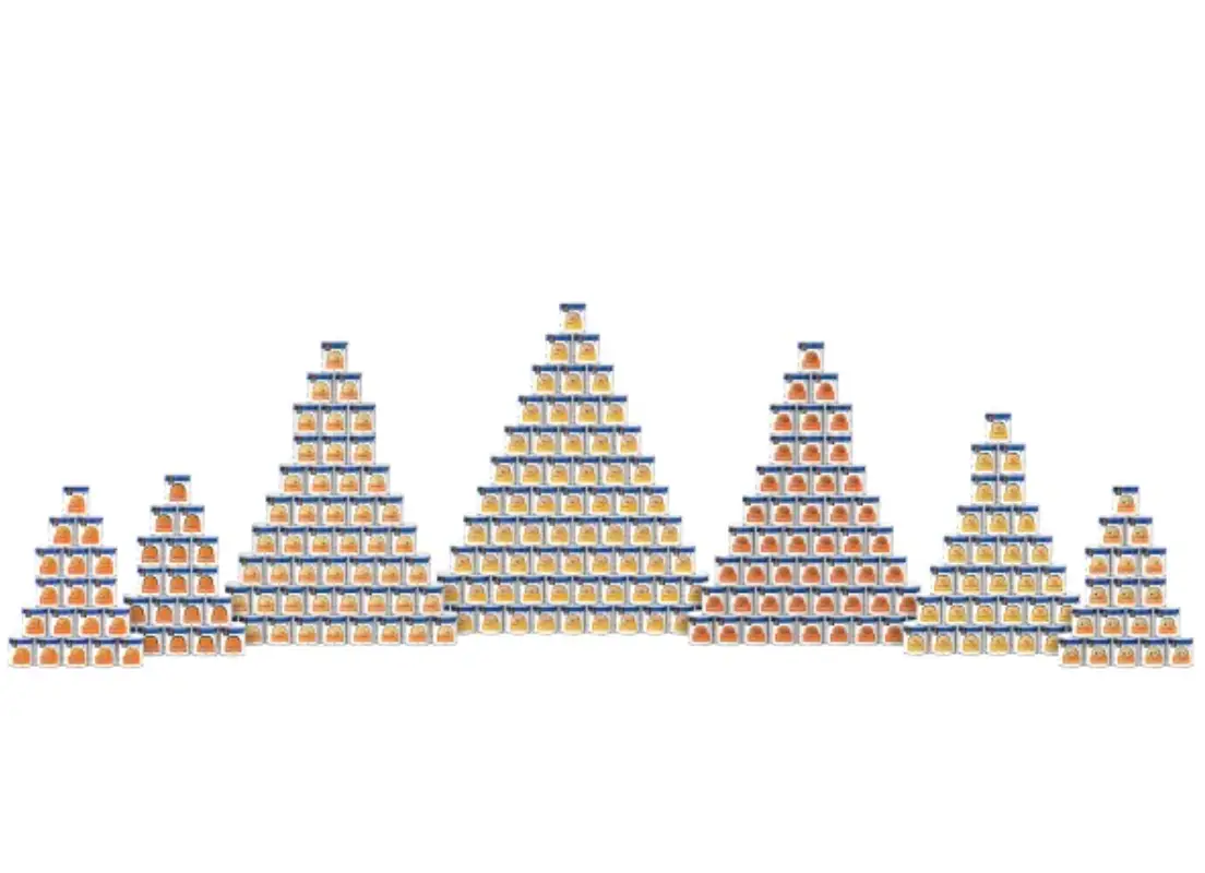 The year supply of emergency food is supplied by Mountain House. (Costco)