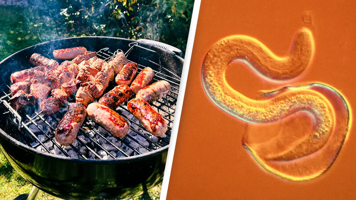 Getty Stock Image/David Spears via Getty