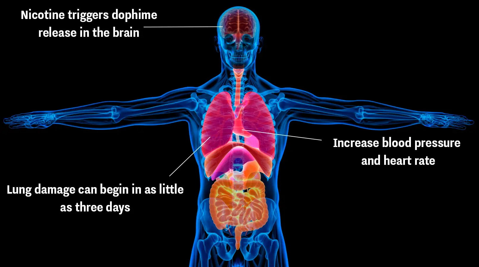 Vaping can impact your heart, brain, and lungs (Getty stock images)