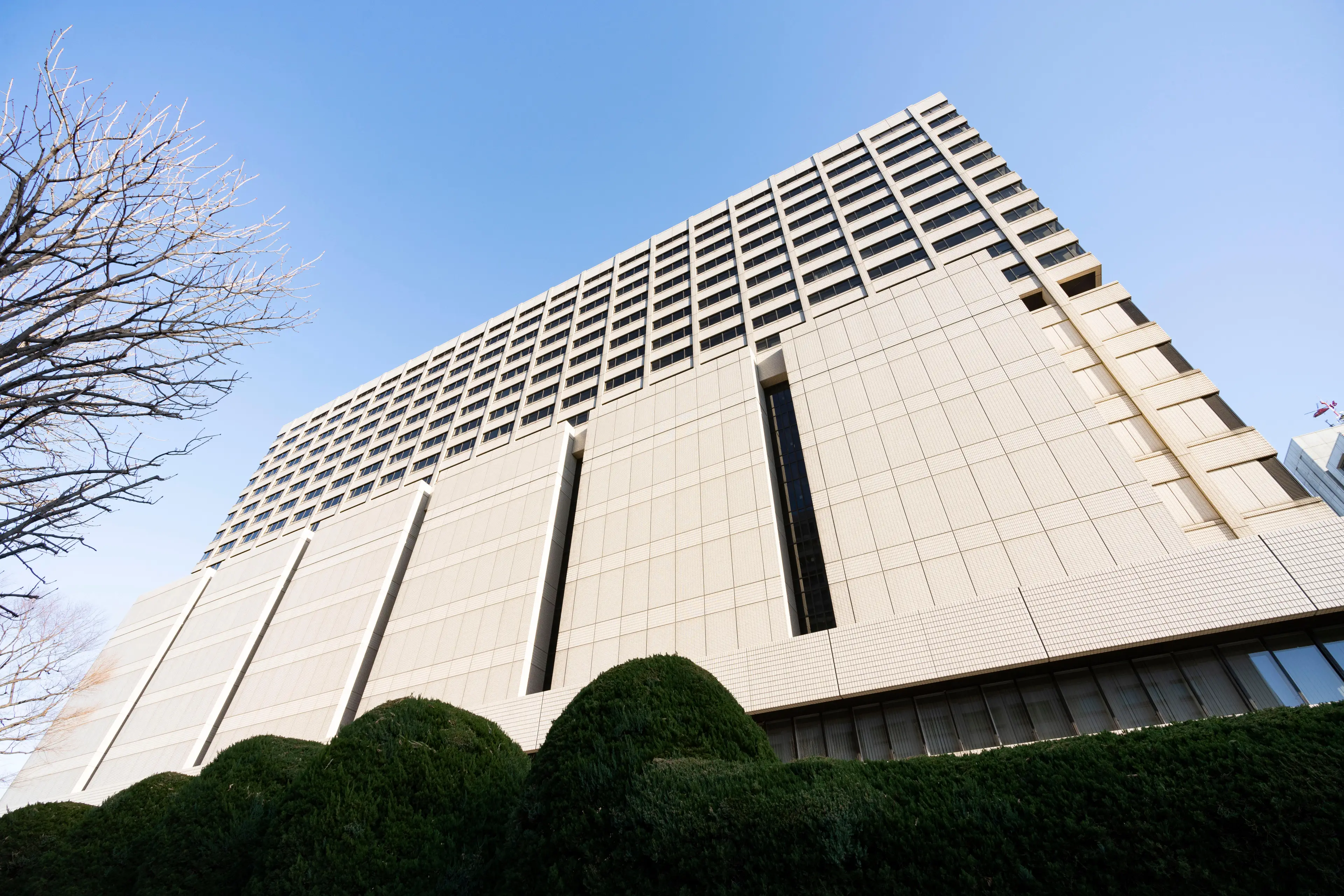 Tokyo’s High Court ruled that only a child born before a transgender person’s surgery is recognised as their child.