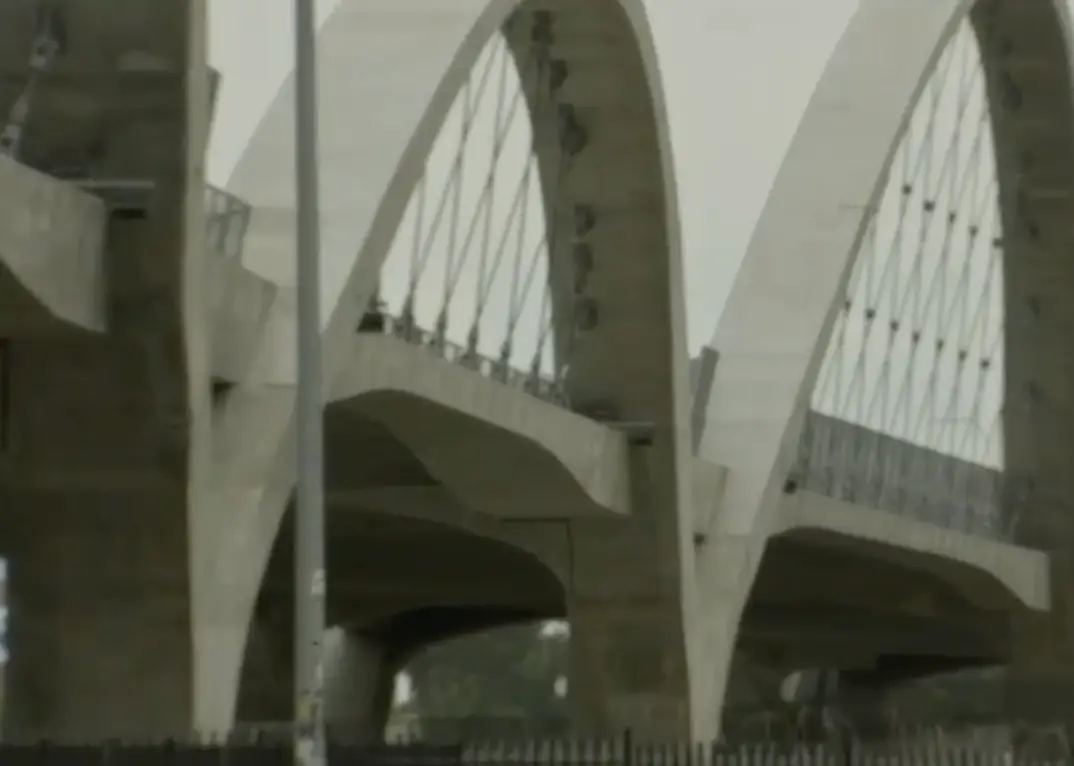 Anthony Luna died after falling from the bridge.