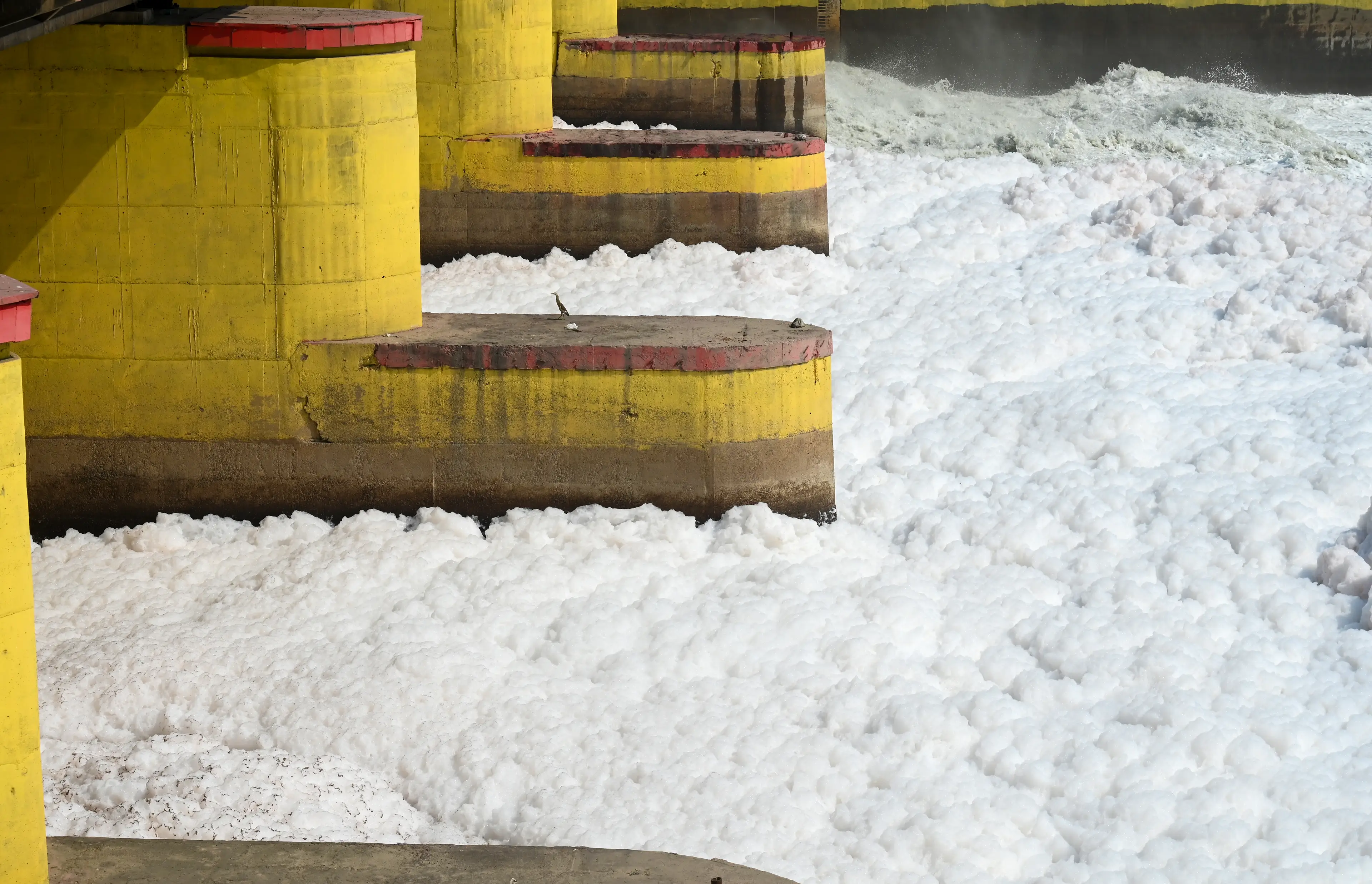 The Yamuna River is covered in the froth (Sunil Ghosh/Hindustan Times via Getty Images)
