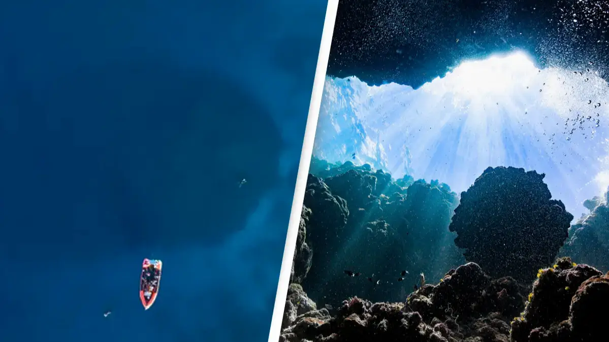 National Geographic/Getty Images/ifish