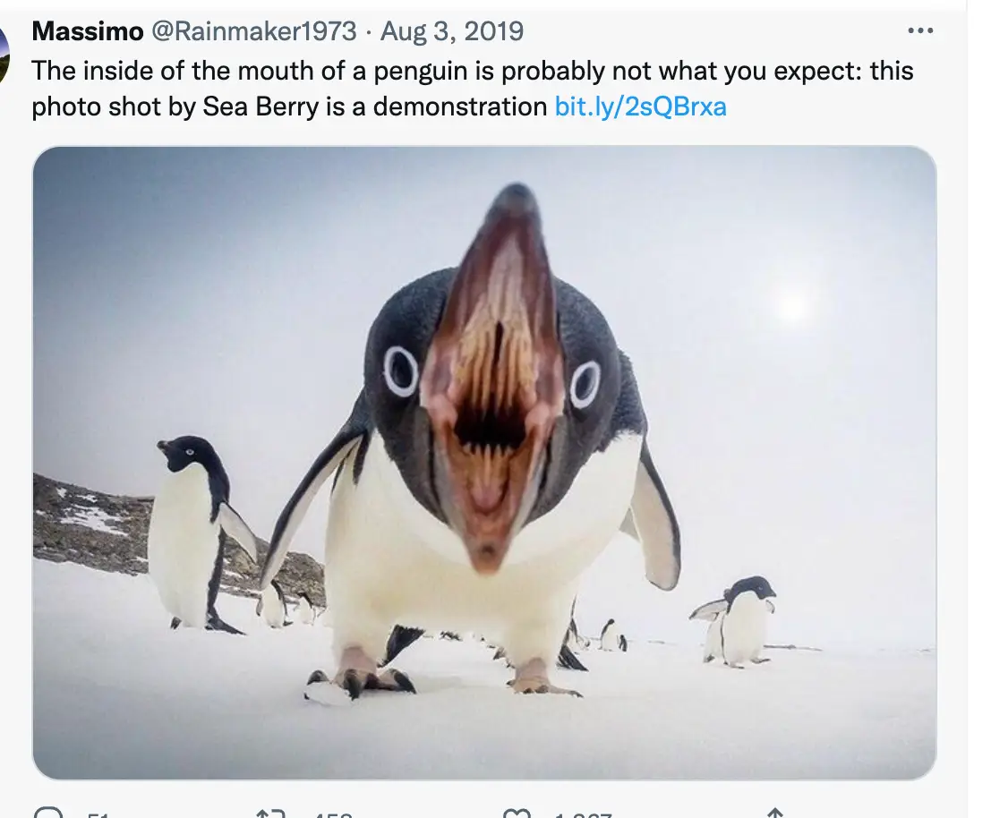 The image has left people disturbed.