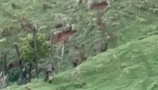 The three kids were spotted by hunters (YouTube/New Zealand Herald)