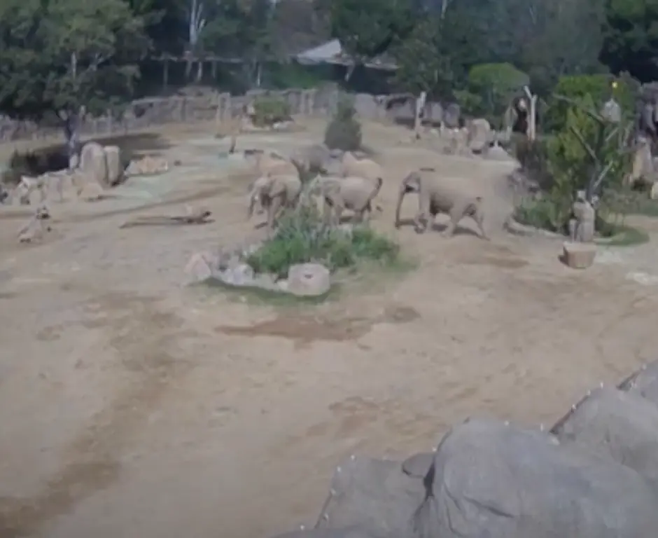 The footage stunned people on social media (WAAY 31 News)