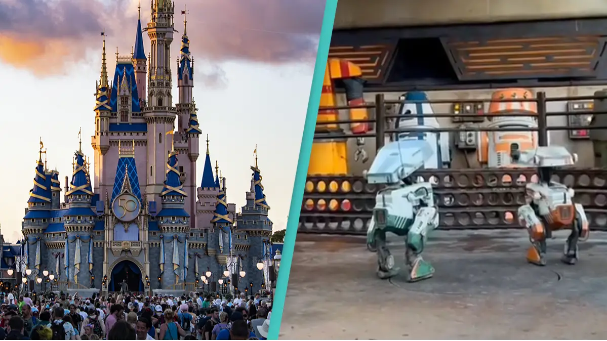 Joseph Prezioso/Anadolu Agency via Getty Images/TikTok/disneyparks