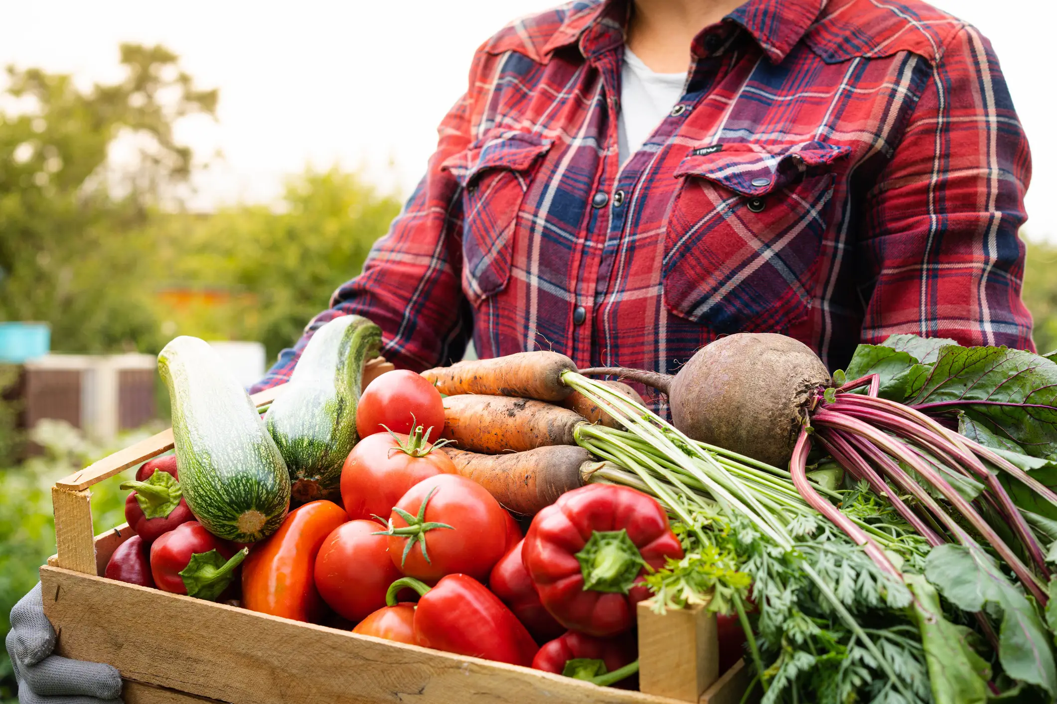 It turns out that sometimes vegetables aren't as good for you as you'd think (Getty Stock Images)